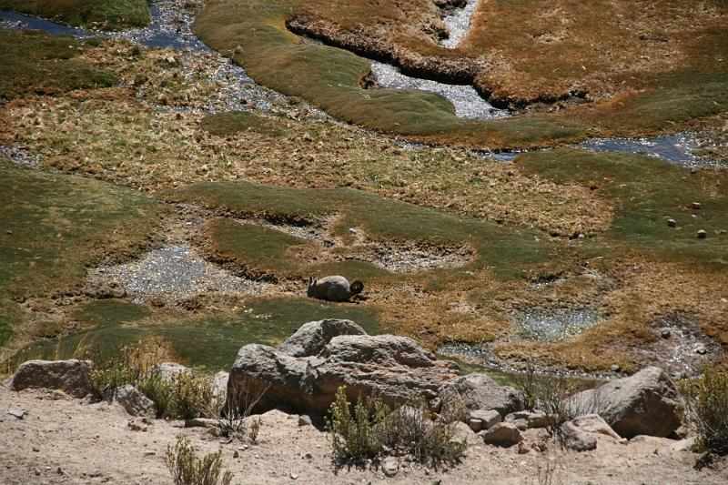 Peru 0688